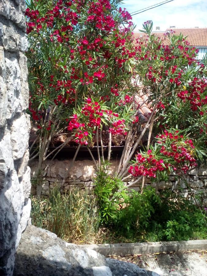 Konoba Yan Daire Pula Dış mekan fotoğraf